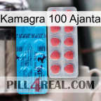 Kamagra 100 Ajanta new14